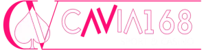 cavia168